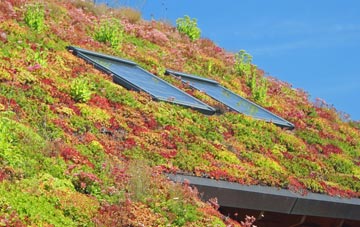 East Denside living roof systems